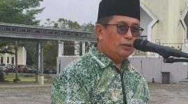 Rejikinoor