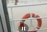 Oplus_16908288