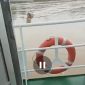 Oplus_16908288