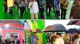 Oplus_16908288