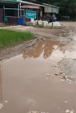 berita-rekomendasi-foto