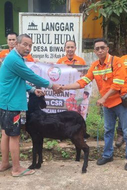 berita-rekomendasi-foto