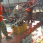 Antisipasi Banjir dan Tumpukan Sampah, Babinsa Koramil 01/Taman Sari Gelar Karya Bakti Bersihkan Kali Beton Maphar
