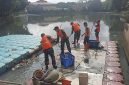Gerak Cepat Dukung Instruksi Danrem 052/Wkr, Satgas Sampah Koramil 03/GP Bersihkan Waduk Wijaya Kusuma