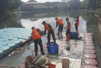 Gerak Cepat Dukung Instruksi Danrem 052/Wkr, Satgas Sampah Koramil 03/GP Bersihkan Waduk Wijaya Kusuma