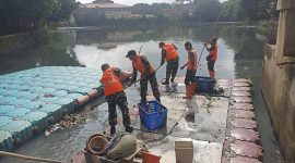 Gerak Cepat Dukung Instruksi Danrem 052/Wkr, Satgas Sampah Koramil 03/GP Bersihkan Waduk Wijaya Kusuma