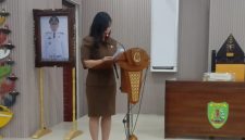 Oplus_131072